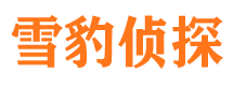 和布克赛尔市侦探公司